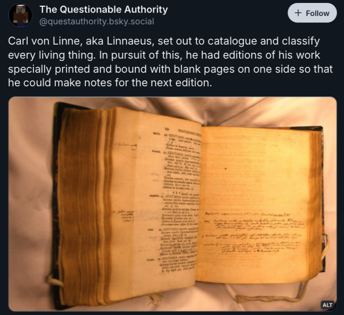 What is Your Intent?